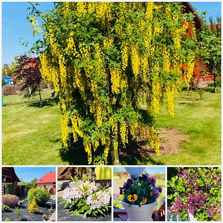 Ferienhaus Promyczek Slonca *