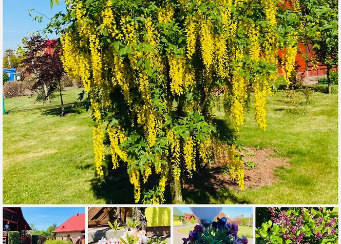 Дом отдыха Promyczek Slonca *